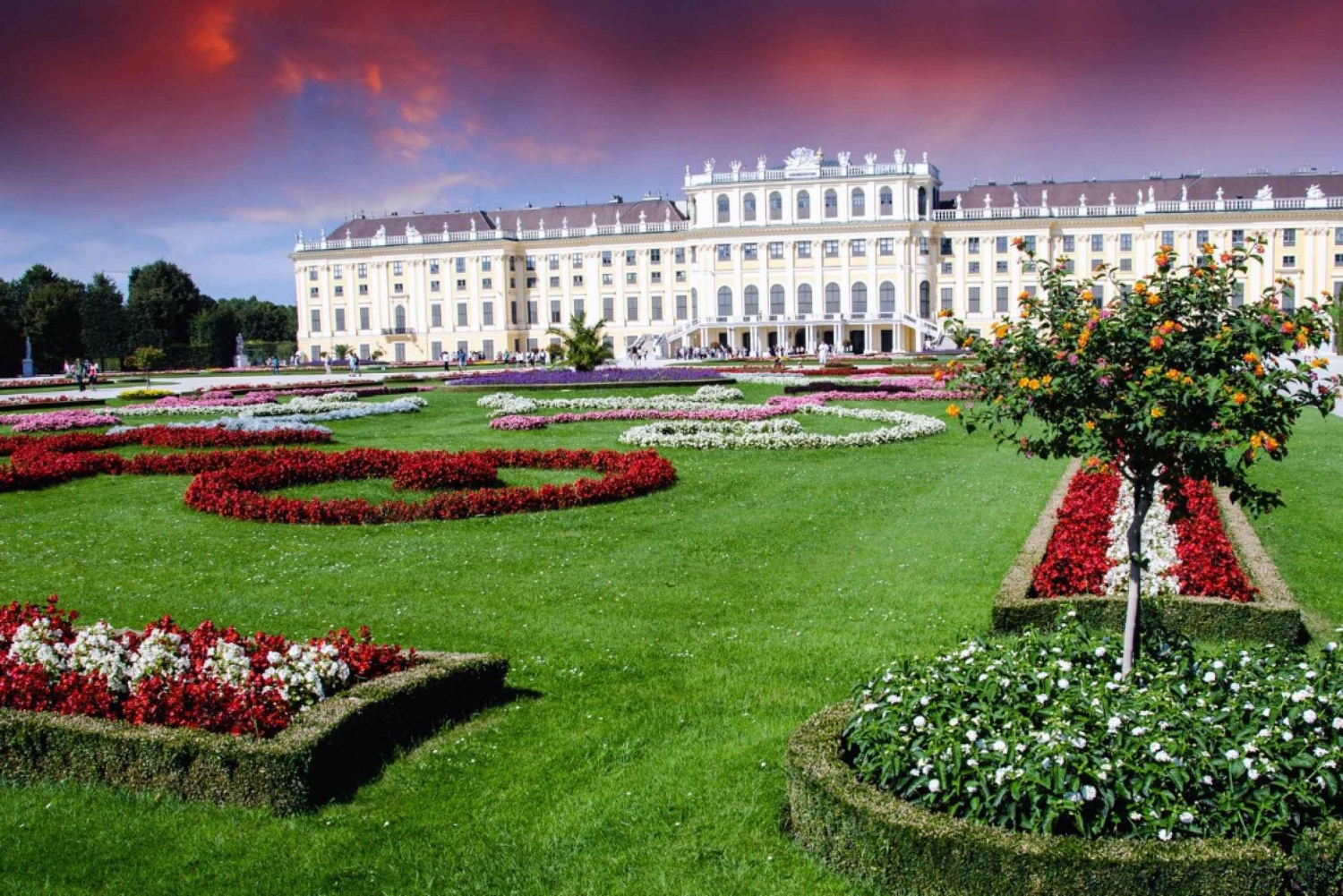 Tour privato a piedi del Castello di Schönbrunn