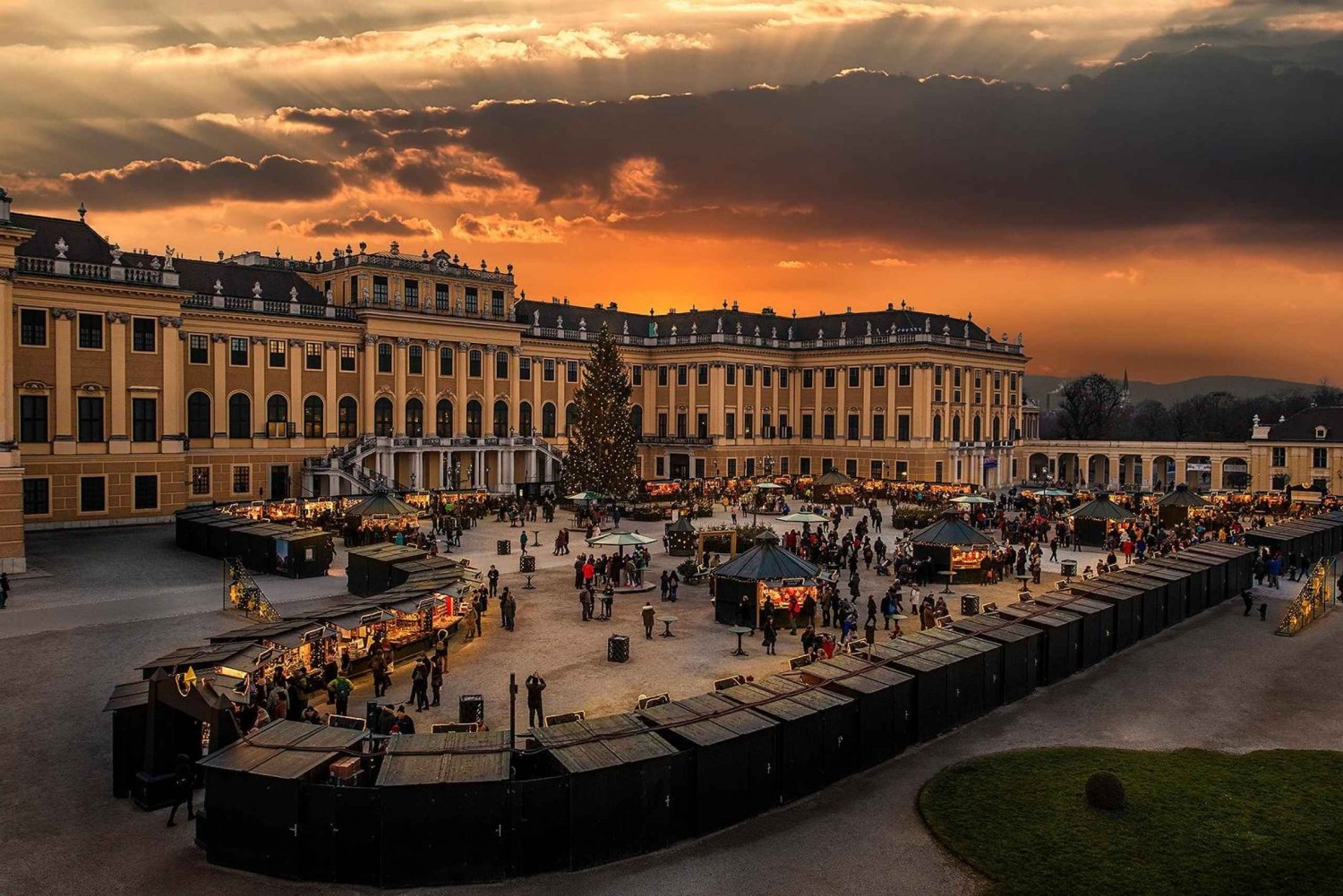 Schönbrunn: Christmas Market, Palace Tour, & Concert