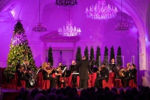 Schönbrunn: Mercado de Natal, passeio pelo palácio e concerto