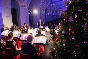 Schönbrunn: Mercado de Natal, passeio pelo palácio e concerto