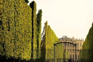 Grand Tour di Schönbrunn: Tour privato a piedi con salta la fila