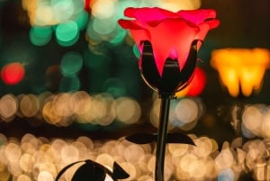 Schönbrunn: Imperial Lights – Lichtgarten