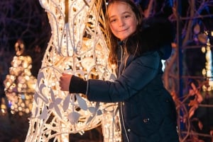Schönbrunn: Imperial Lights – Lichtgarten