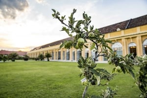 Schönbrunn Palace Classical Concerts