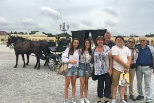 Omvisning i Schönbrunn slott og hager