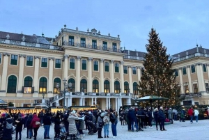 Vienna: Schönbrunn Palace & Christmas Market Walking Tour