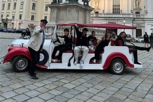 Vienna: Old Town Sightseeing Tour in a Vintage-Style E-Car