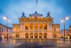 Evita la cola Palacio Albertina, Museo de Viena Tour privado