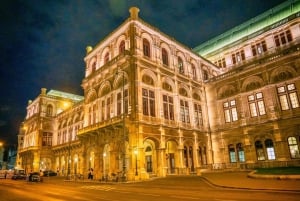 Skip-the-line Albertina Palace, Museum Vienna Private Tour