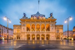 Prywatna wycieczka z pominięciem kolejki do Pałacu Albertina i Muzeum w Wiedniu