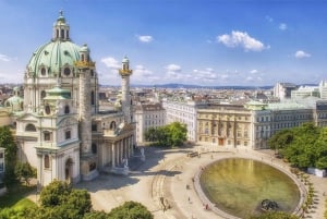 Prywatna wycieczka z pominięciem kolejki do Pałacu Albertina i Muzeum w Wiedniu