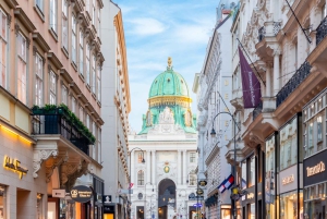 Wycieczka z pominięciem kolejki Donauturm Danube Tower Wiedeń, transfer