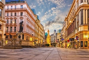 Wycieczka z pominięciem kolejki Donauturm Danube Tower Wiedeń, transfer