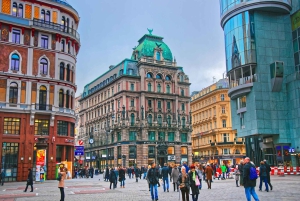 Wycieczka z pominięciem kolejki Donauturm Danube Tower Wiedeń, transfer
