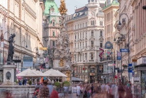Wycieczka z pominięciem kolejki Donauturm Danube Tower Wiedeń, transfer