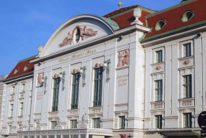 Skip-the-line Haus der Musik Wien, Mozart, Beethoven Tour