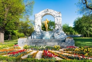 Evita la cola Visita guiada a la Casa de la Música de Viena, Mozart y Beethoven