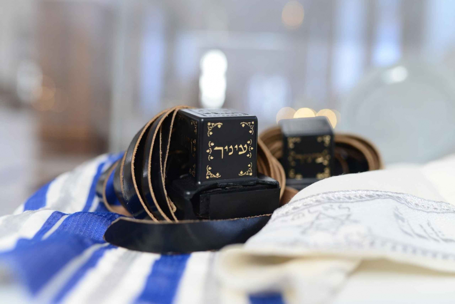 Jüdische Museen ohne Anstehen & Jüdisches Viertel Tour in Wien