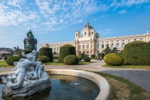 Hoppa över linjen Leopold Museum Wien, Gustav Klimt-tur