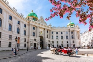 Visita privada sin esperas al Museo Kunsthistorisches de Viena