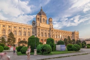 Excursão privada sem fila Kunsthistorisches Museum Vienna