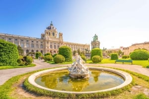 Excursão privada sem fila Kunsthistorisches Museum Vienna