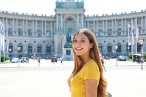 Excursão privada sem fila Kunsthistorisches Museum Vienna