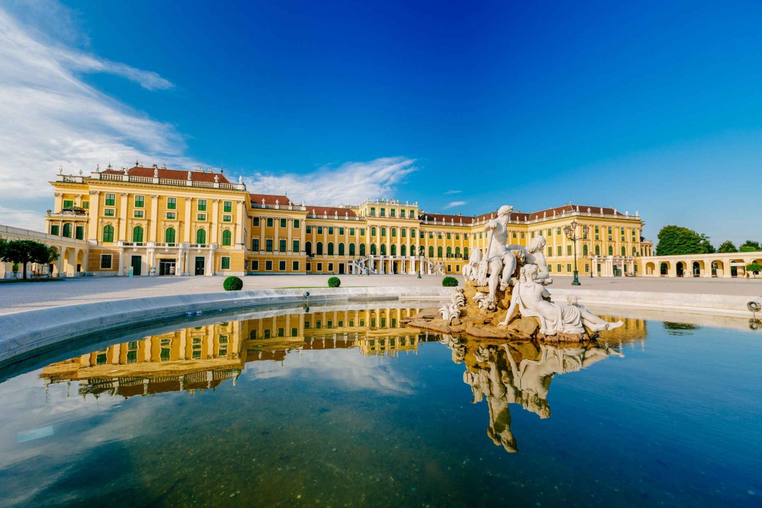 Evita la cola: Palacio de Schönbrunn y tour de la ciudad de Viena