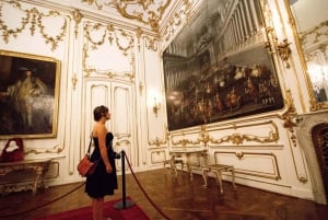 Evita la cola: Palacio de Schönbrunn y tour de la ciudad de Viena