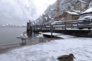 Beauté alpine et villages de conte de fées : circuit à Hallstatt et Salzbourg