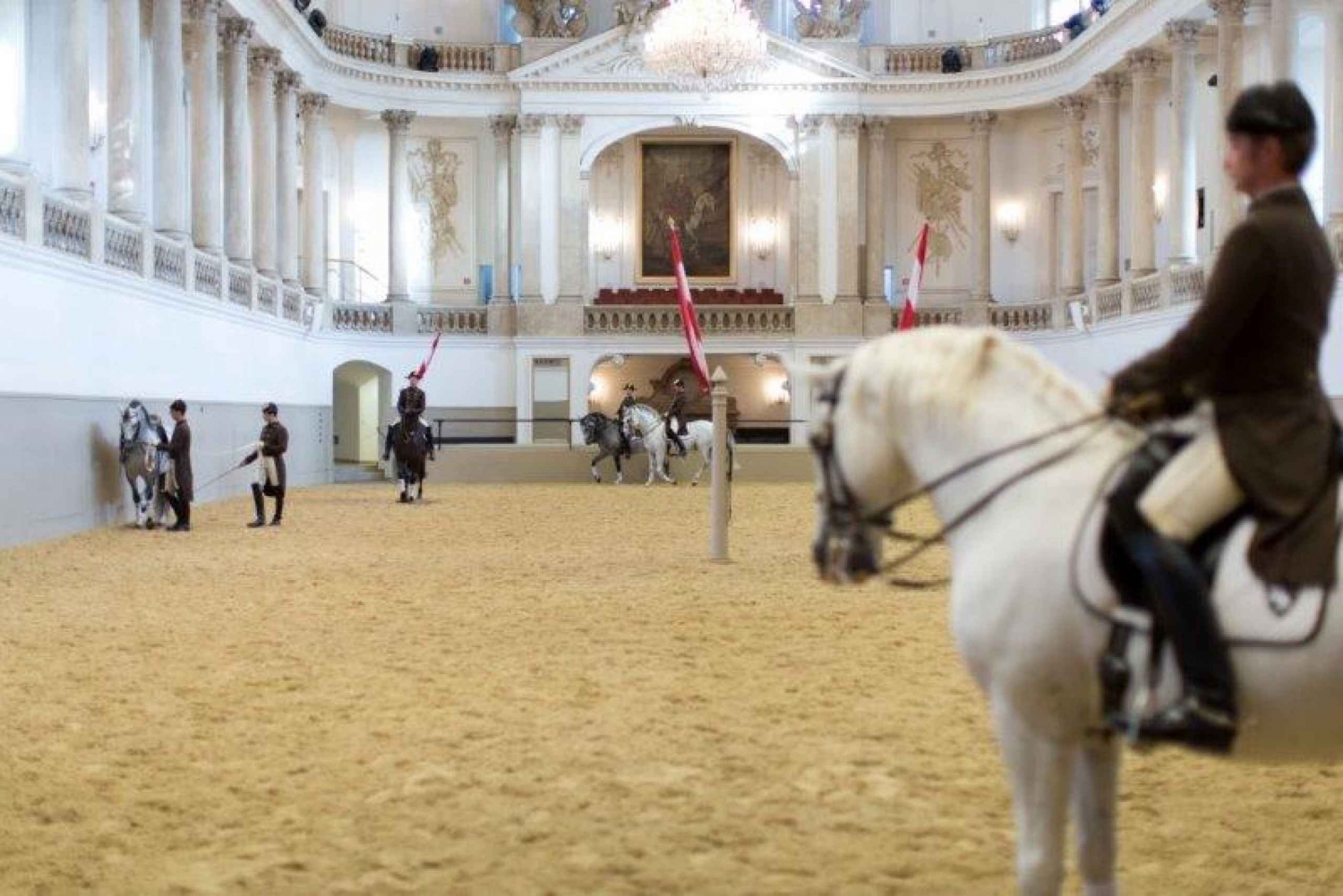 Vienna: Spanish Riding School Training