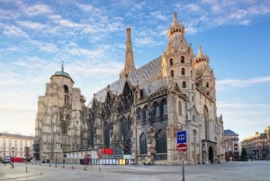Visite à pied de la cathédrale Saint-Étienne et de la vieille ville de Vienne