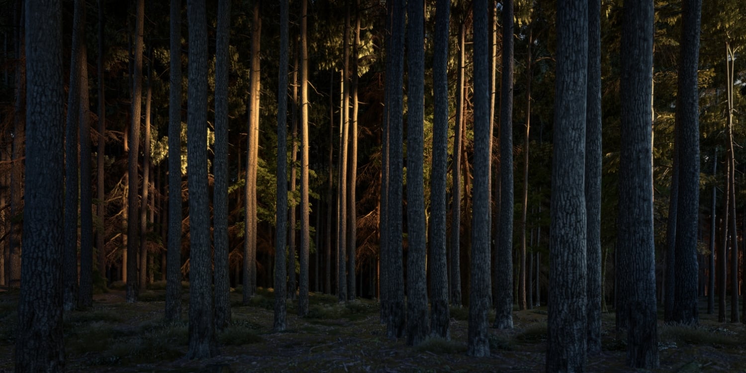 Taiga Spa