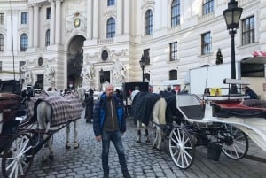 The best of Vienna on foot