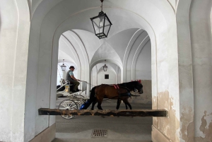 The best of Vienna on foot