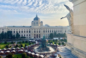 The best of Vienna on foot