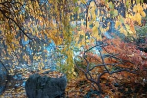 Cuda Wiednia przez cały dzień - prywatna wycieczka samochodowa