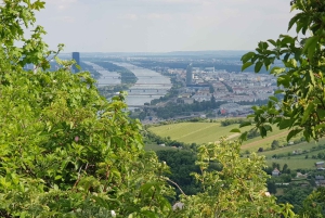 Cuda Wiednia przez cały dzień - prywatna wycieczka samochodowa