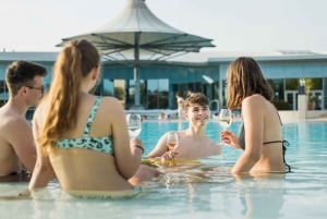 Día de bienestar en Therme Laa: escapada a un spa cerca de Viena
