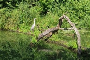 From Vienna and Bratislava: Moravia: Lednice Castle and park