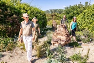 Tulln: TICKET DE ACCESO Y AUDIoguía PARA DIE GARTEN TULLN