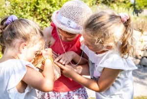 Tulln: TICKET DE ACCESO Y AUDIoguía PARA DIE GARTEN TULLN