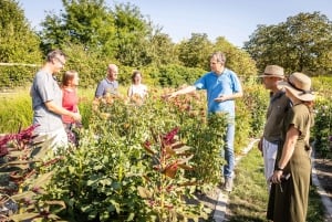 Tulln: TICKET DE ACCESO Y AUDIoguía PARA DIE GARTEN TULLN