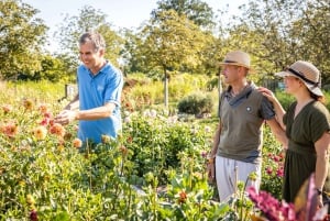 Tulln: TICKET DE ACCESO Y AUDIoguía PARA DIE GARTEN TULLN