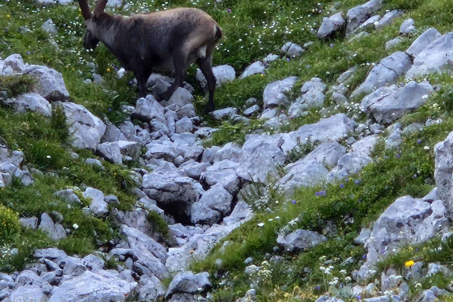 Vienna: 2-day Alpine Mountain Hiking Tour Guide and Transfer