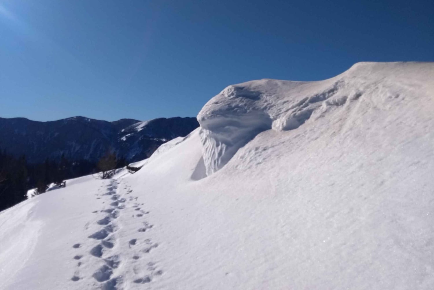 Wenen: 2-daagse bergwandeltocht met gids en transfer