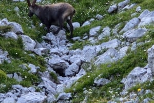 Vienna: 2-day Alpine Mountain Hiking Tour Guide and Transfer