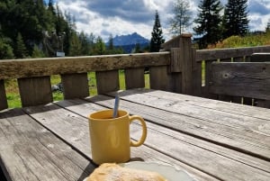 Vienna: 2-day Alpine Mountain Hiking Tour Guide and Transfer