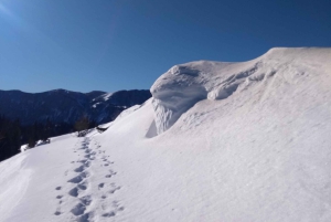 Vienna: 2-day Alpine Mountain Hiking Tour Guide and Transfer