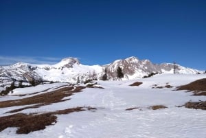 Vienna: 2-day Alpine Mountain Hiking Tour Guide and Transfer